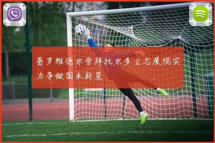 普罗维德尔崇拜托尔多立志展现实力争做国米新星