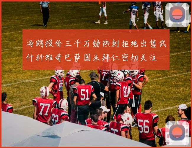 海鸥报价三千万镑热刺拒绝出售武什科维奇巴萨国米拜仁密切关注