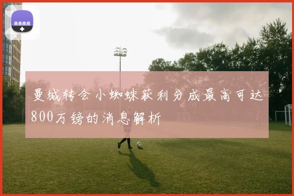 曼城转会小蜘蛛获利分成最高可达800万镑的消息解析